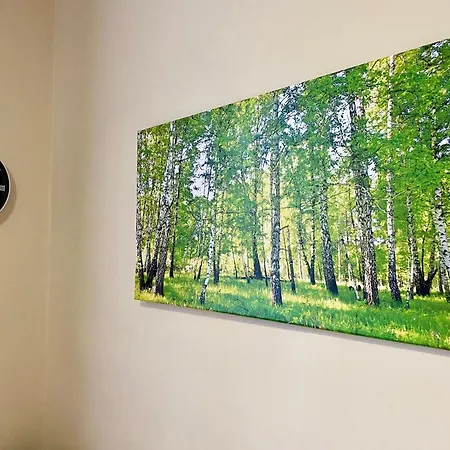 Apartamenty W Brzozowym Gaju Kudowa Zdroj Exterior photo
