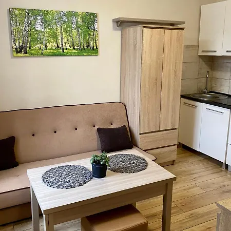 Apartamenty W Brzozowym Gaju Kudowa Zdroj Exterior photo