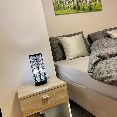 Apartamenty W Brzozowym Gaju Kudowa Zdroj Exterior photo