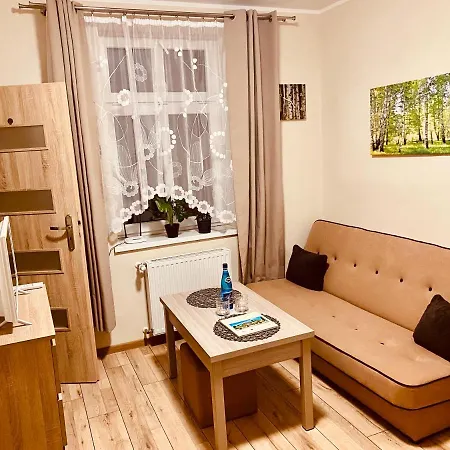 Apartamenty W Brzozowym Gaju Kudowa Zdroj Exterior photo