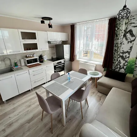 Apartamenty W Brzozowym Gaju Kudowa Zdroj Exterior photo