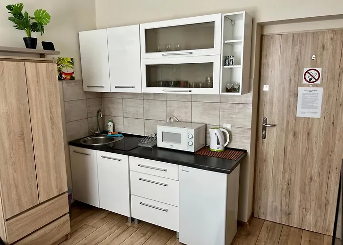Apartamenty W Brzozowym Gaju