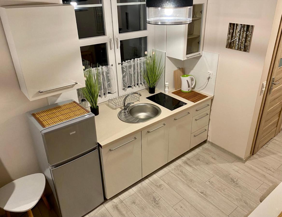 Apartment W Brzozowym Gaju