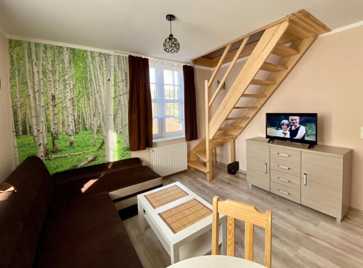 W Brzozowym Gaju Apartment Kudowa Zdroj