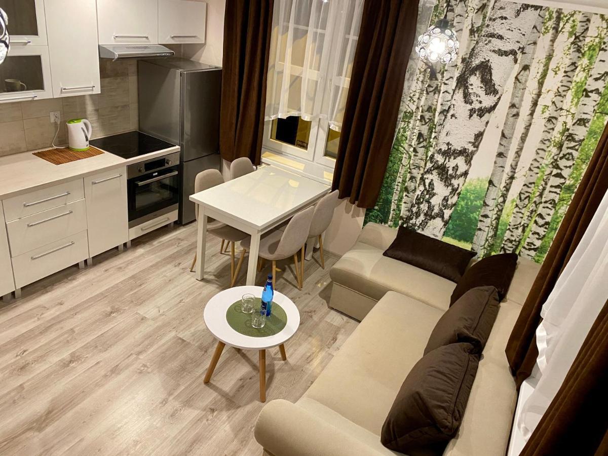 W Brzozowym Gaju Apartment Kudowa Zdroj