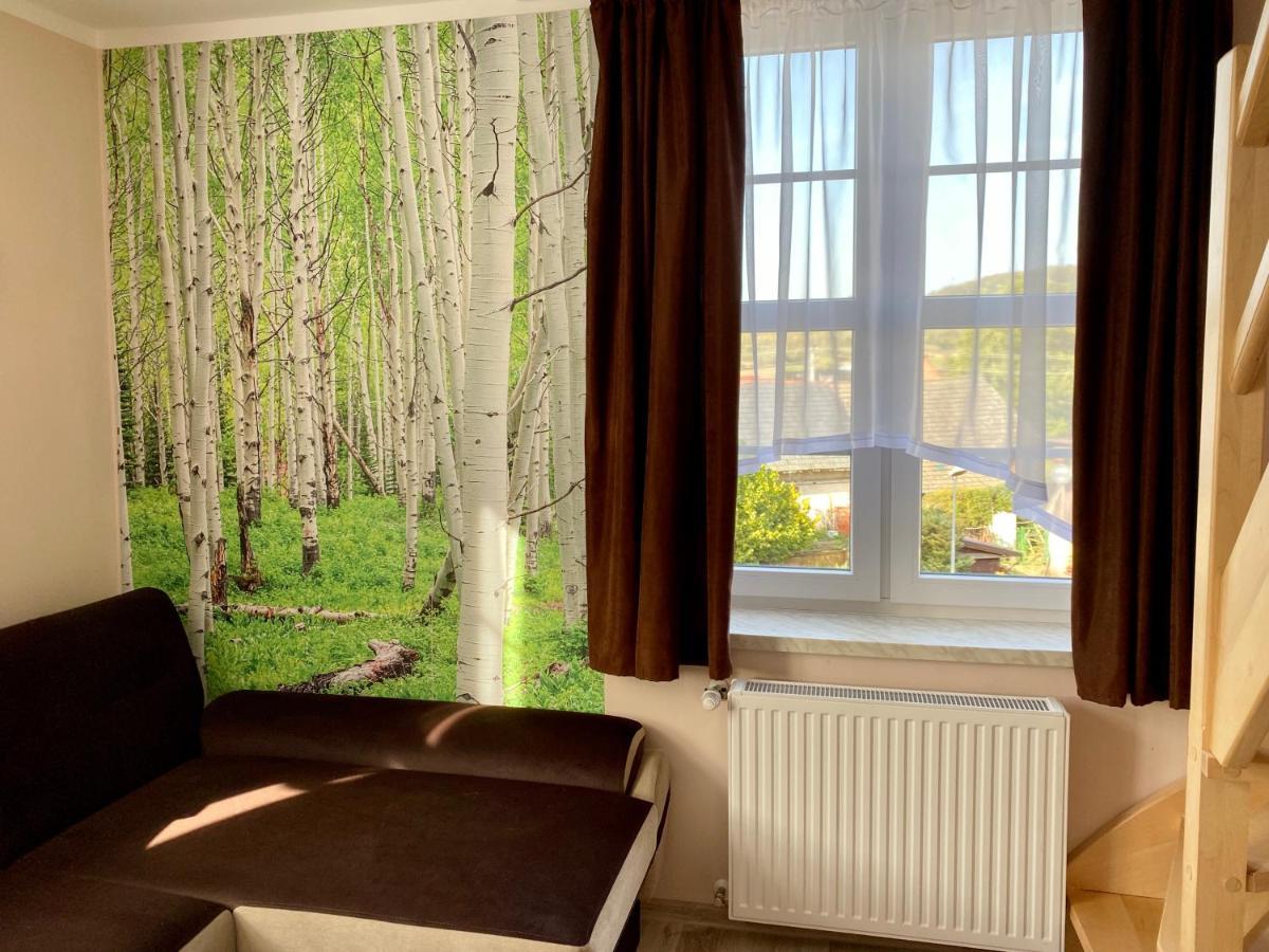 W Brzozowym Gaju Apartment Kudowa Zdroj
