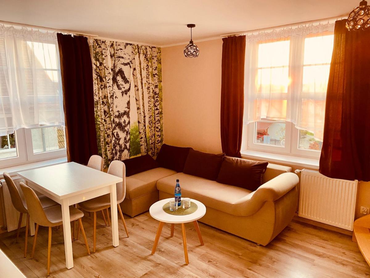 W Brzozowym Gaju Apartment