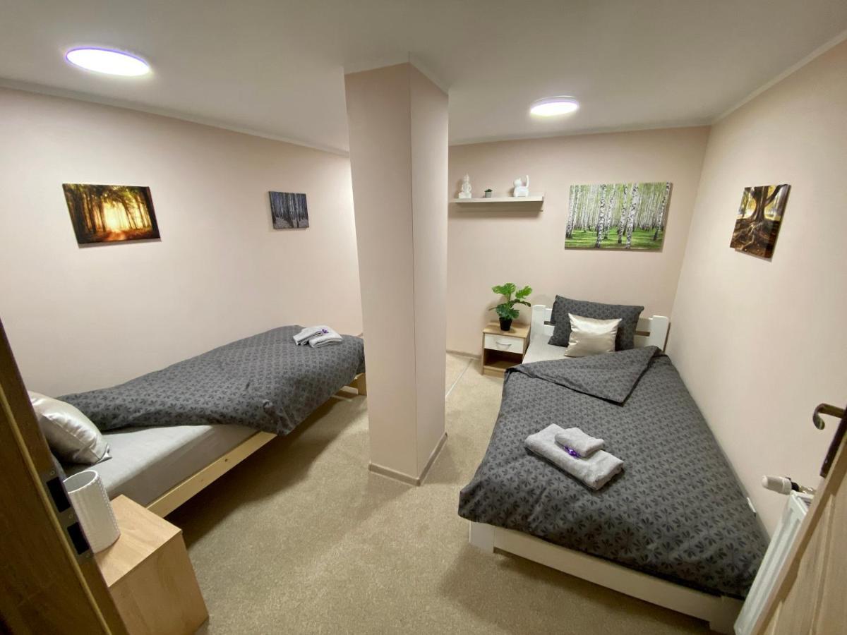 W Brzozowym Gaju Apartment