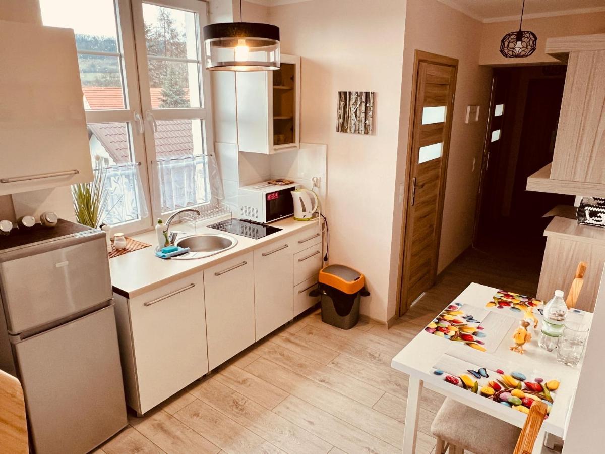 Apartment W Brzozowym Gaju