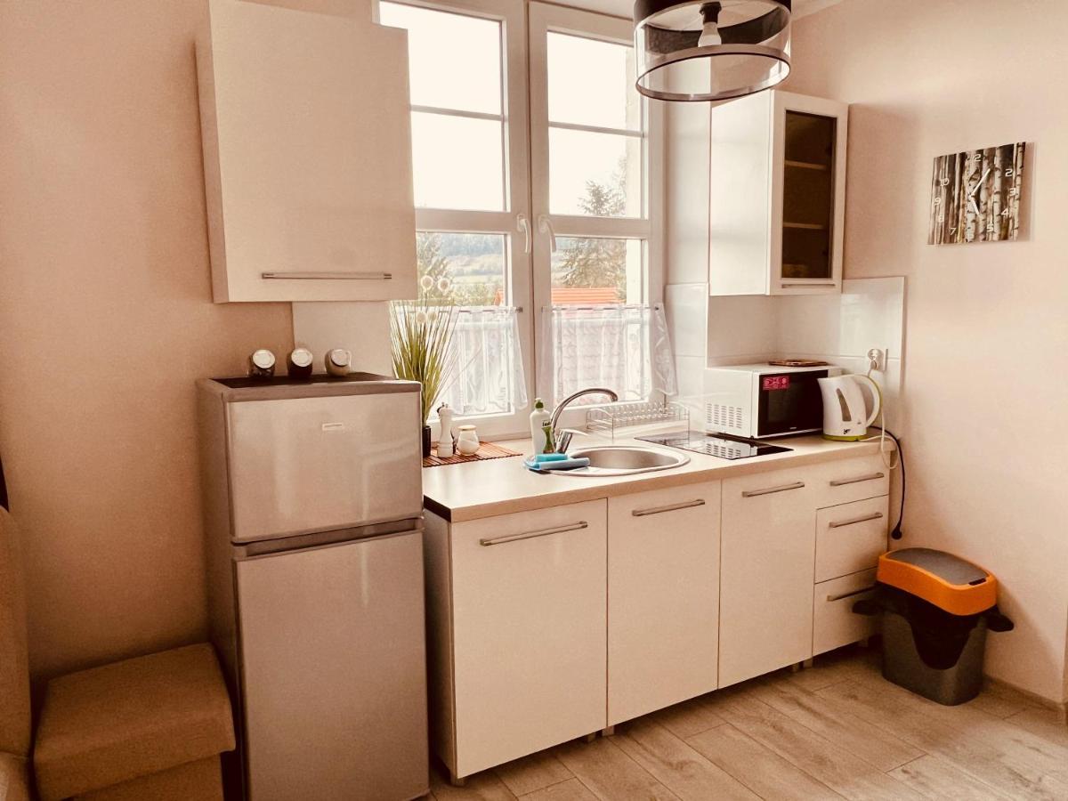 Apartment W Brzozowym Gaju Kudowa Zdroj
